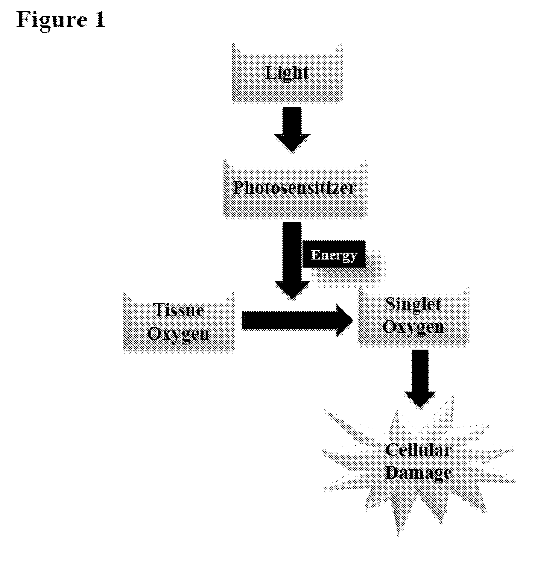 Systems and methods for targeted imaging and ablation of cardiac cells