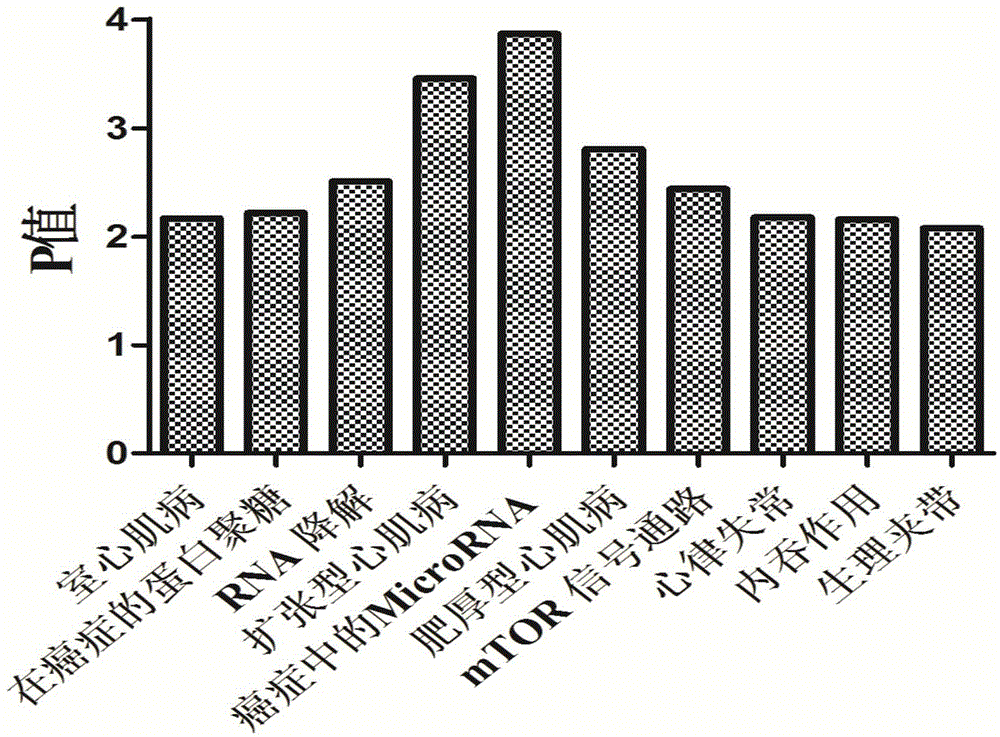 Small antisense oligonucleotide aiming at miR-92a seed sequence and application