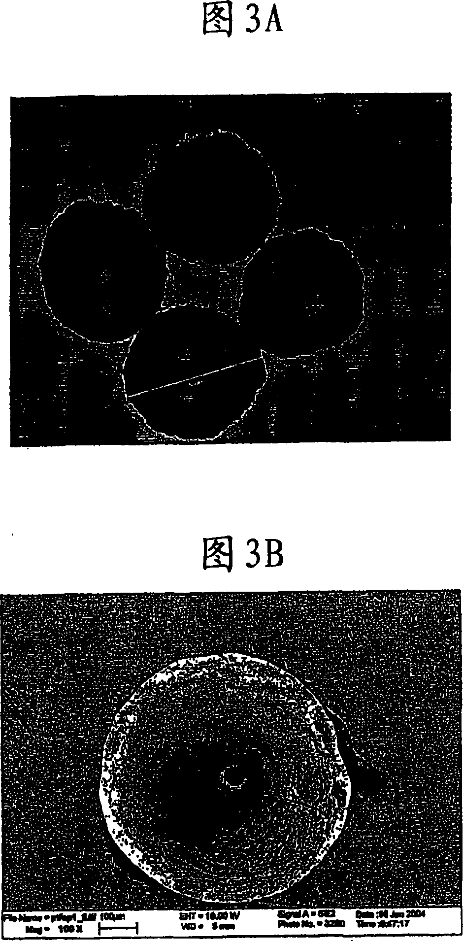 Loadable polymeric particles for therapeutic and/or diagnostic applications and methods of preparing and using the same