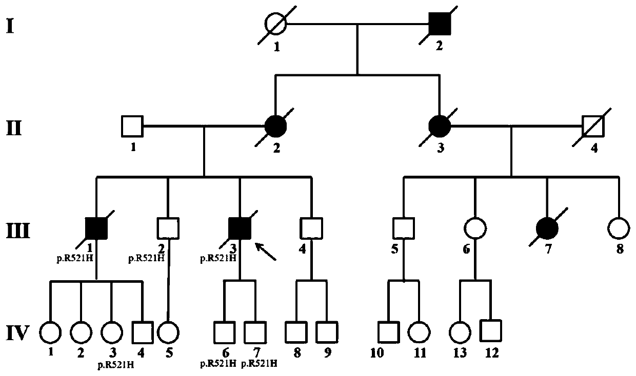 Method for detecting FUS gene mutation and TARDBP gene mutation