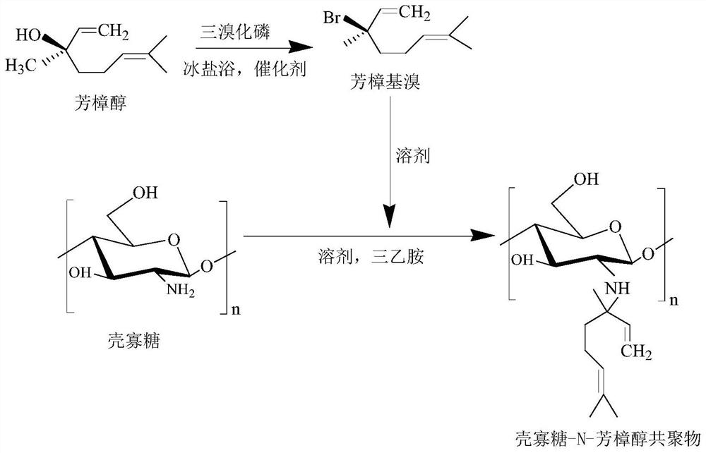 Chitosan oligosaccharide-N-linalool copolymer and preparation method and application thereof