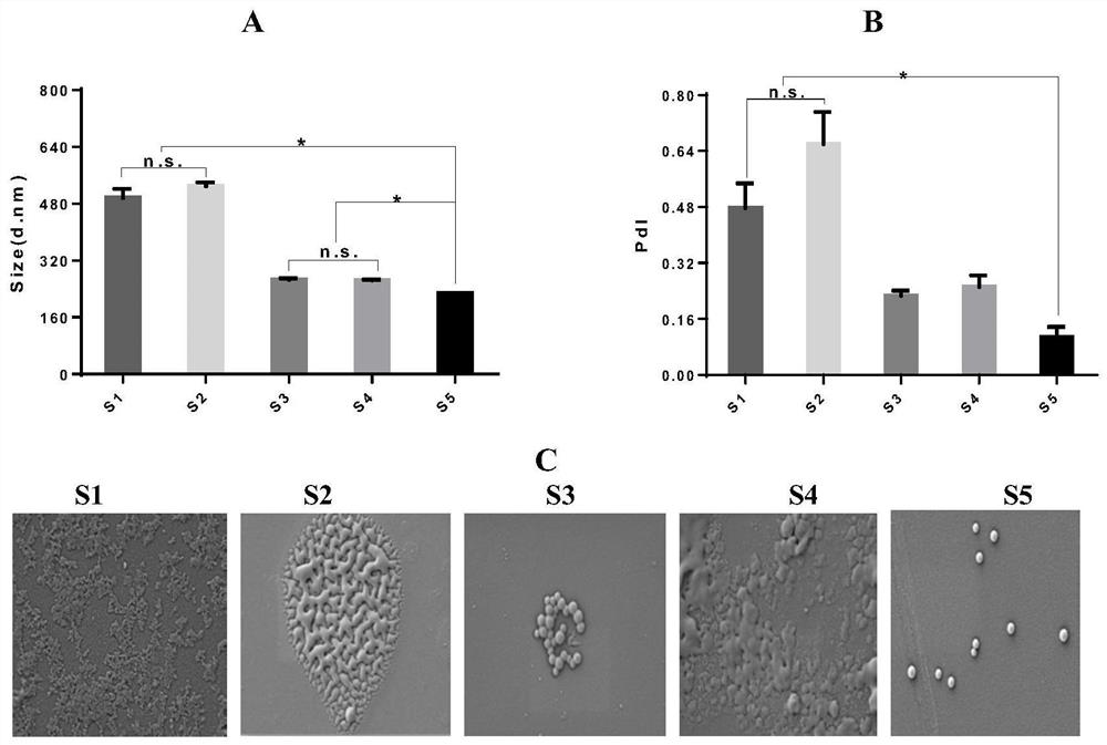 Escherichia coli VO outer membrane protein nanoparticle vaccine modified plga with chitosan and its preparation method and application