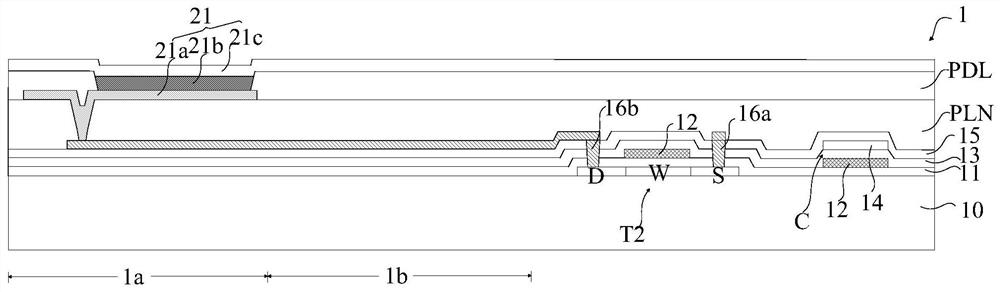 Transparent display panel, display device and display panel thereof