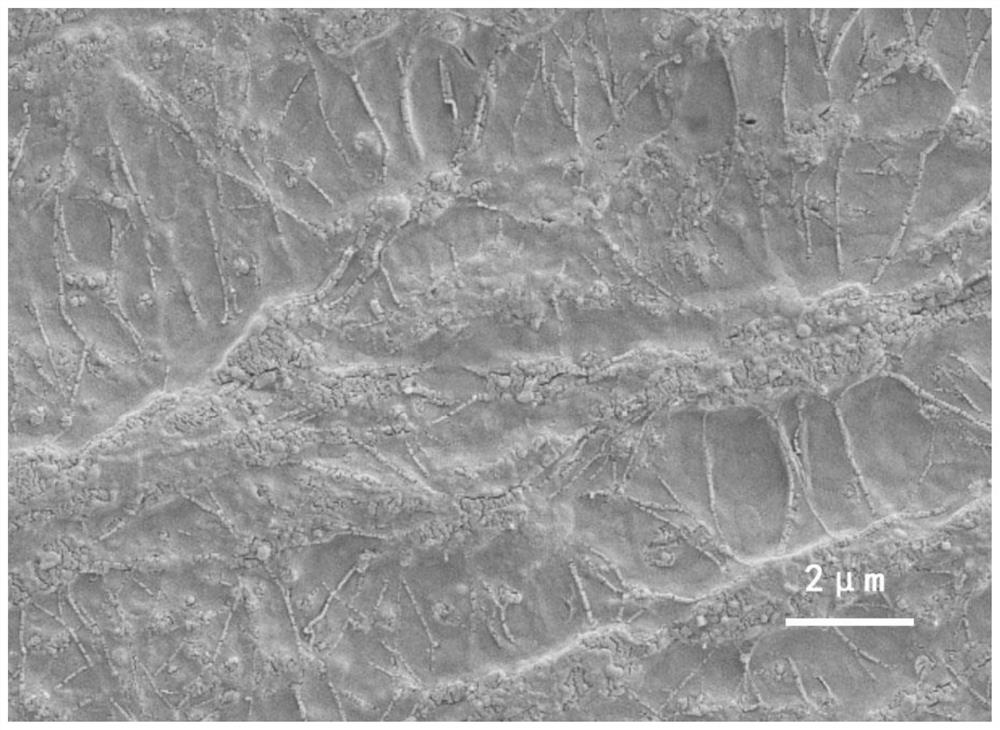 Preparation method of polytetrafluoroethylene reverse osmosis membrane with lasting and stable filtering separation performance