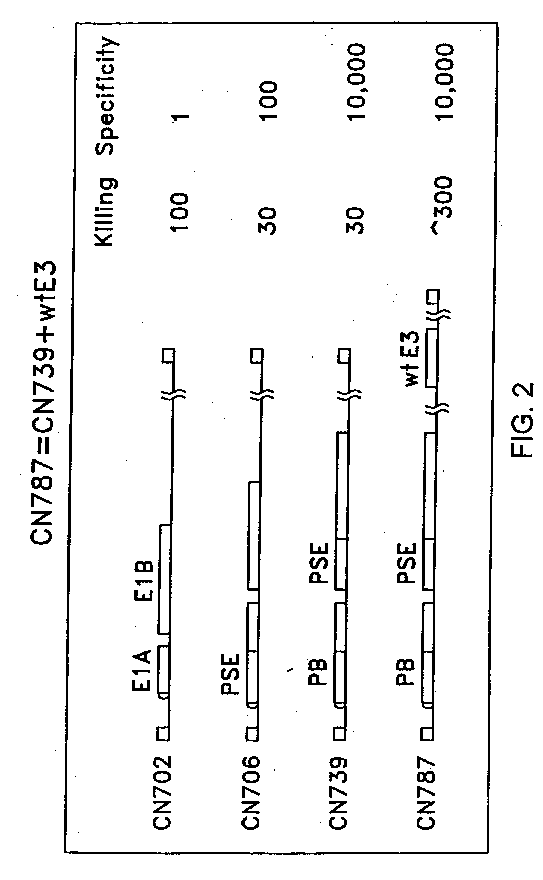 Target cell-specific adenoviral vectors containing E3 and methods of use thereof