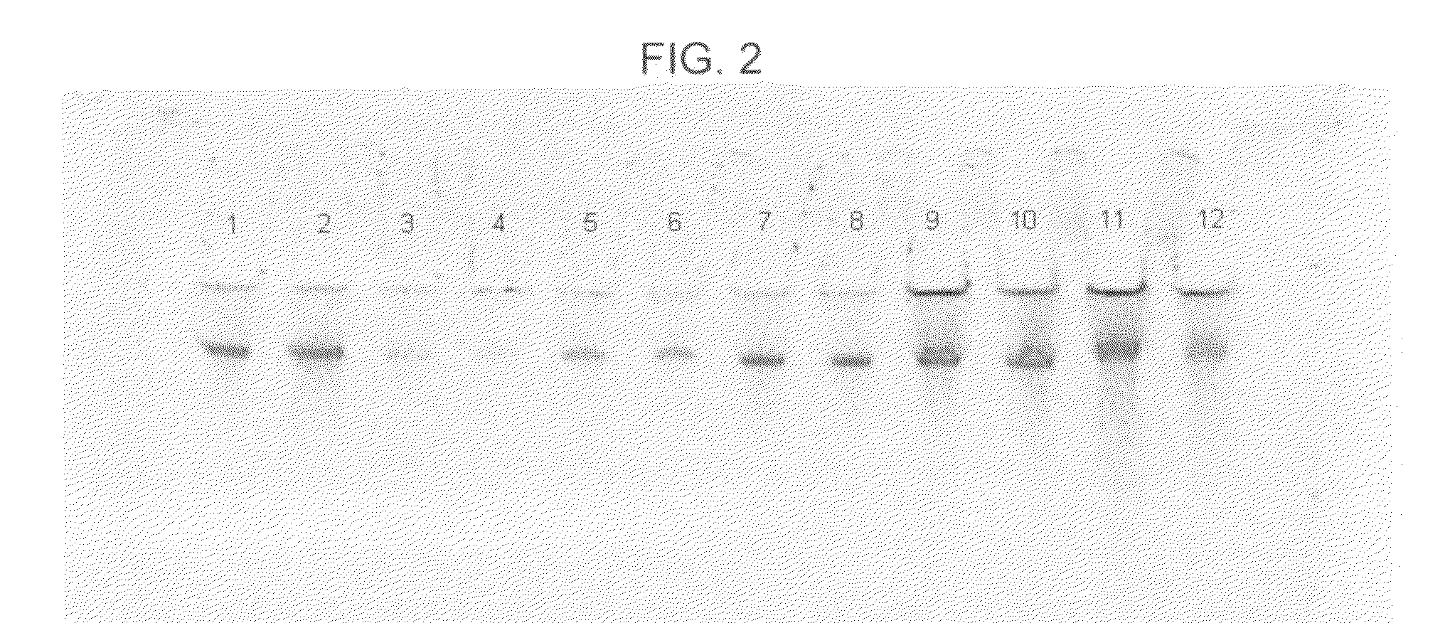 Methods of purifying a nucleic acid and formulation and kit for use in performing such methods