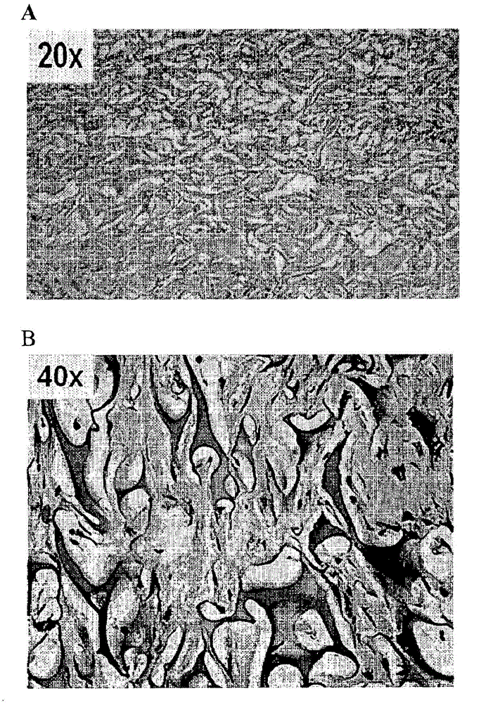Formulations involving solvent/detergent-treated plasma (s/d plasma) and uses thereof