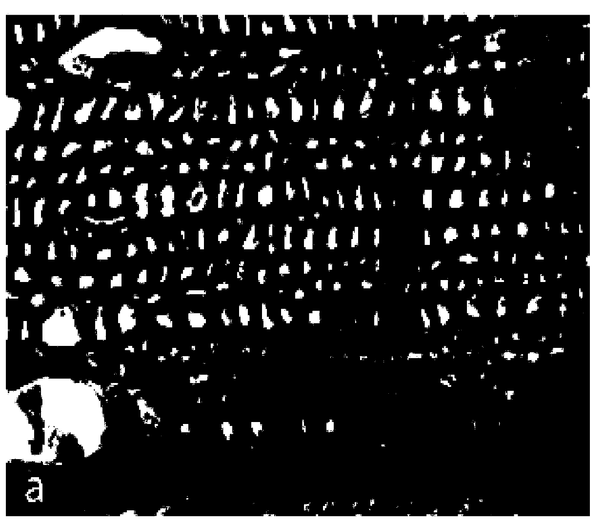 Dyeing method of for colloidal layer microsection of tension wood