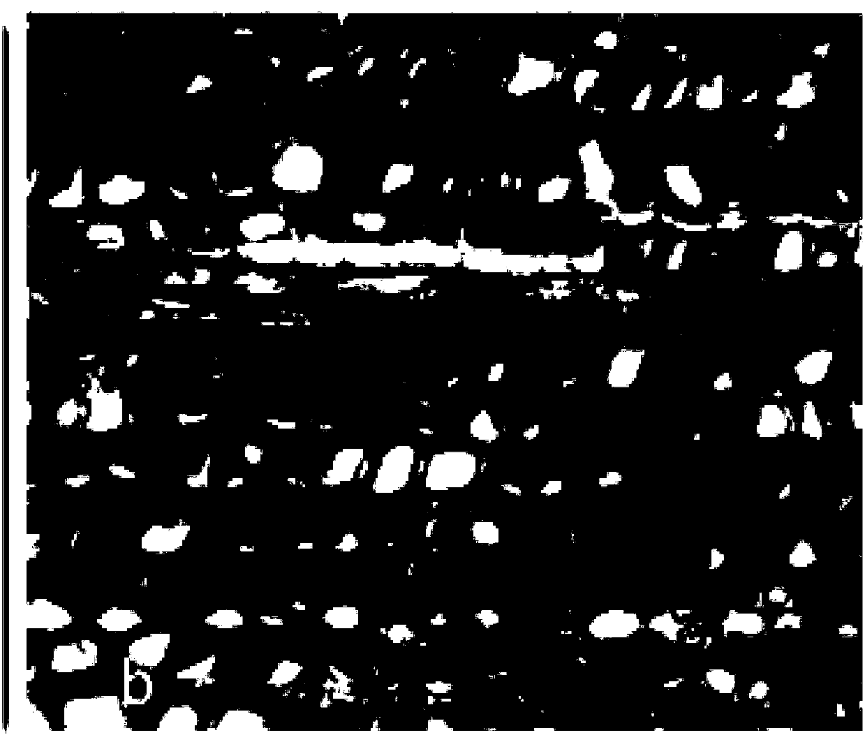 Dyeing method of for colloidal layer microsection of tension wood