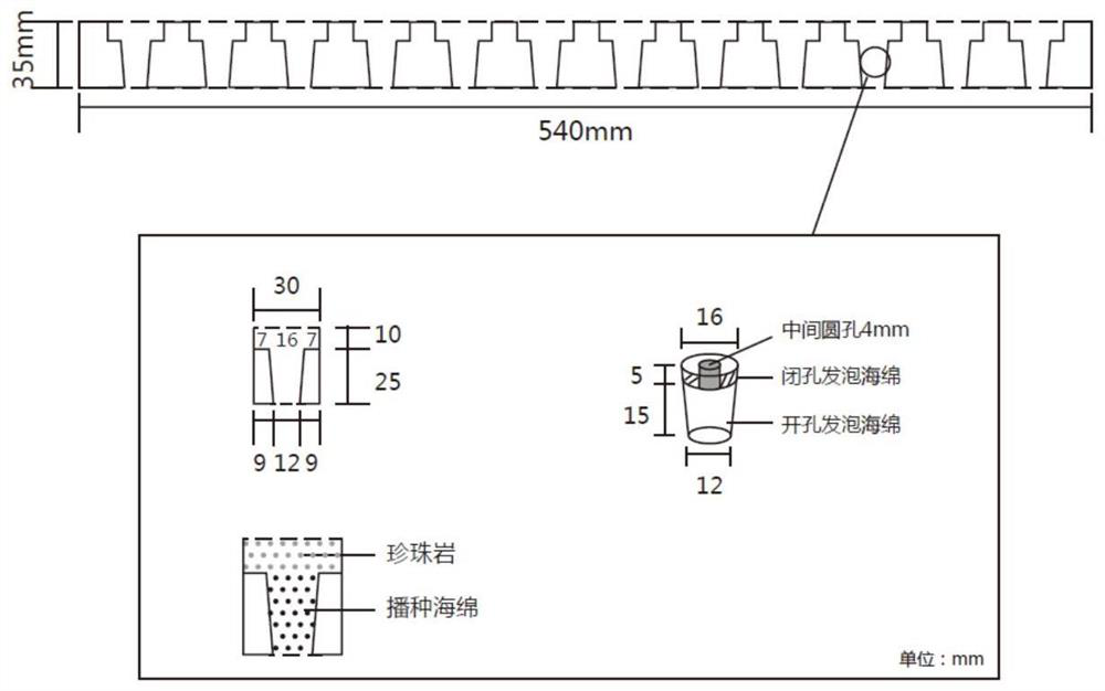 A transplant-free floating board and its application in floating cultivation of chives