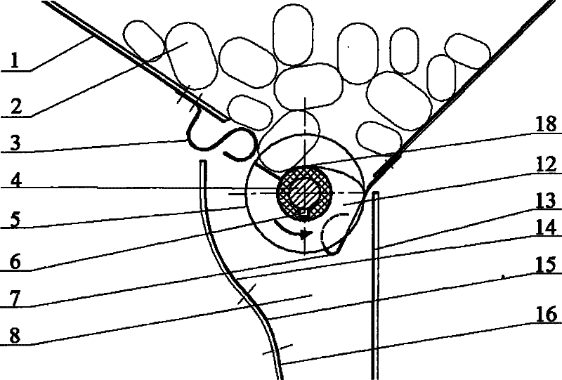 Transfer type silkworm cocoon separation device