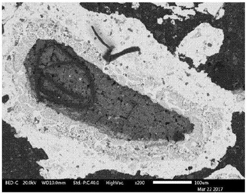 Zinc-bismuth alloy-coated silicon-magnesium particles prepare foamy silicon powder and silicon powder