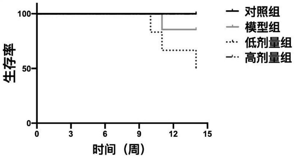 Application of a traditional Chinese medicine composition in the preparation of drugs for preventing and treating gastrointestinal tumors
