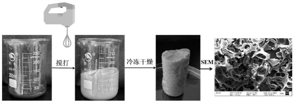 Rice bran protein porous material and application thereof