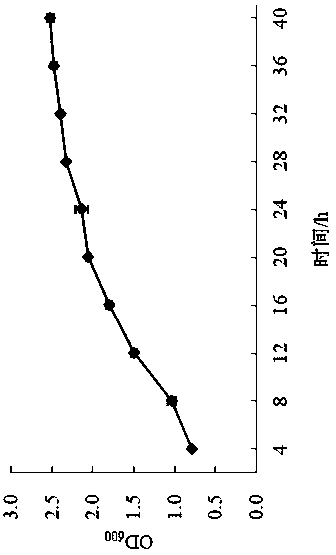 Yarrow yeast fa2-3 from the ocean and its low-temperature amylase and enzyme production method