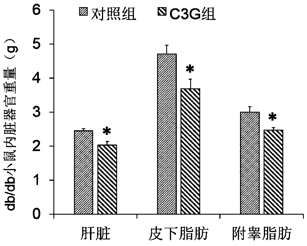 Application of cyanidin-3-oxy-glucoside in medicine for treating obesity and related diseases