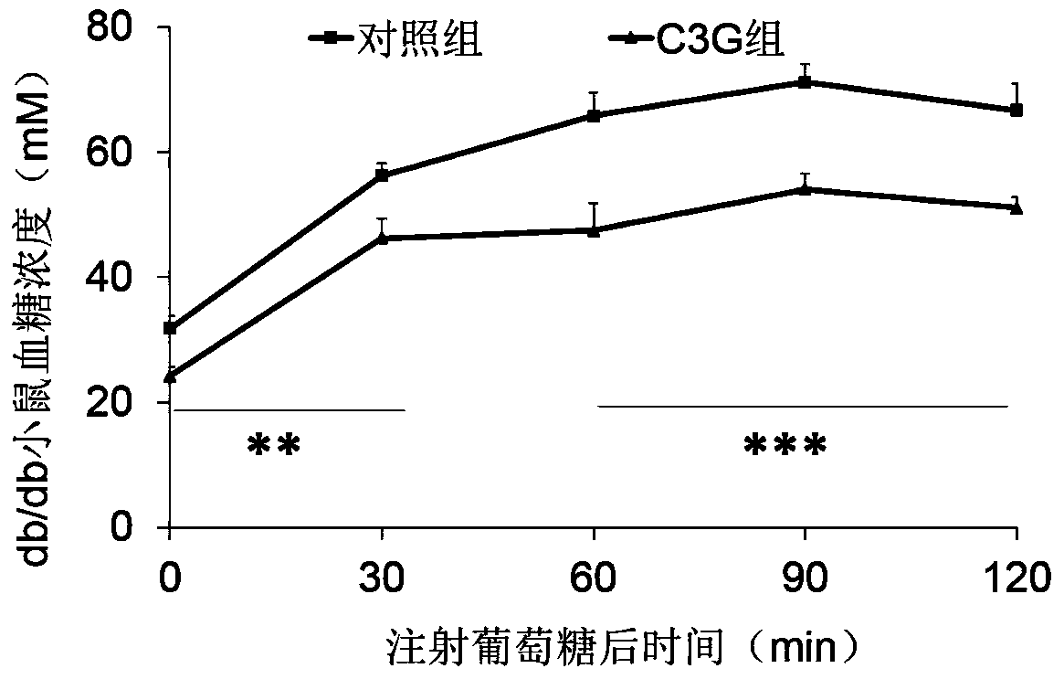 Application of cyanidin-3-oxy-glucoside in medicine for treating obesity and related diseases