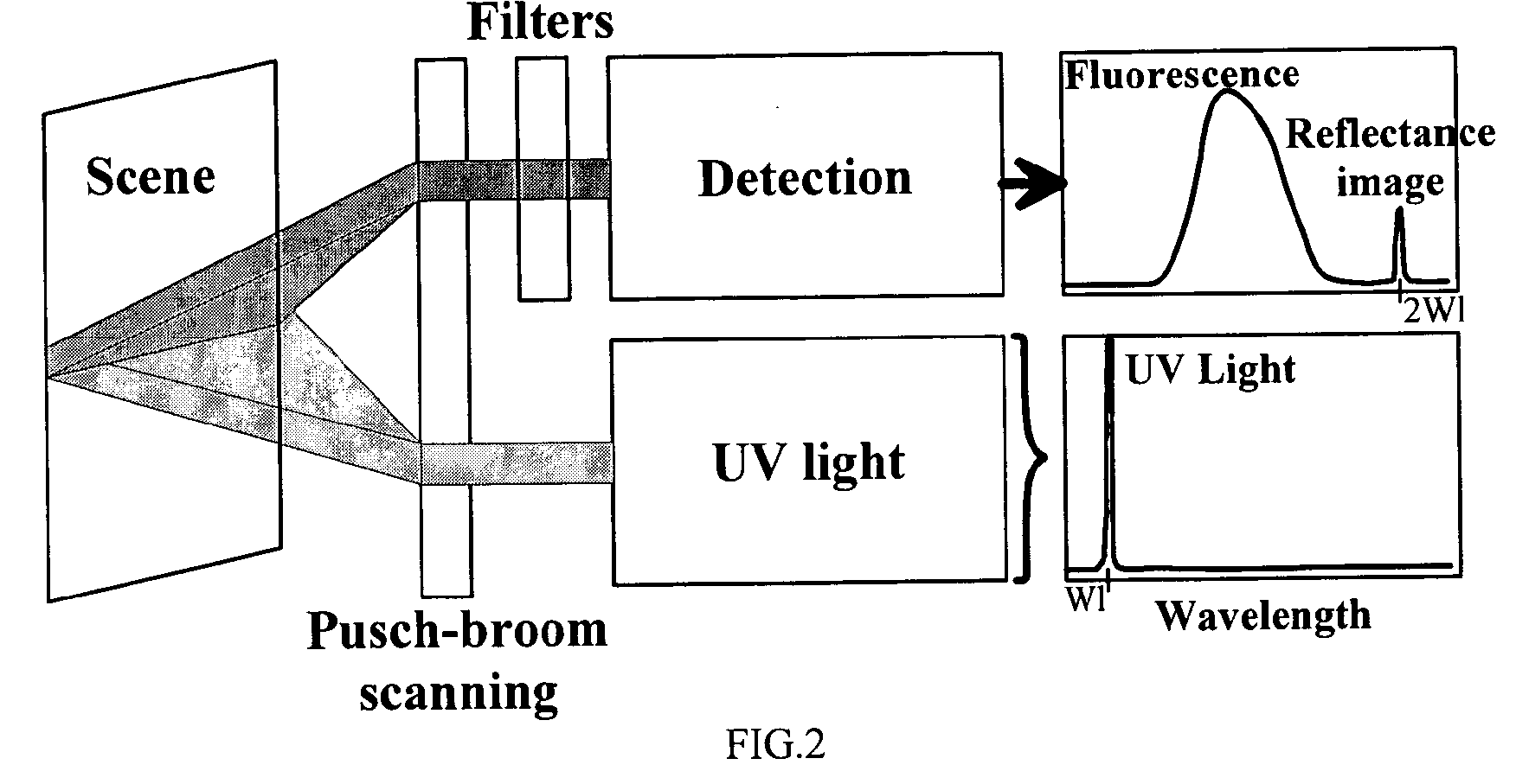 Systems and methods for registering reflectance and fluorescence hyperspectral imagery