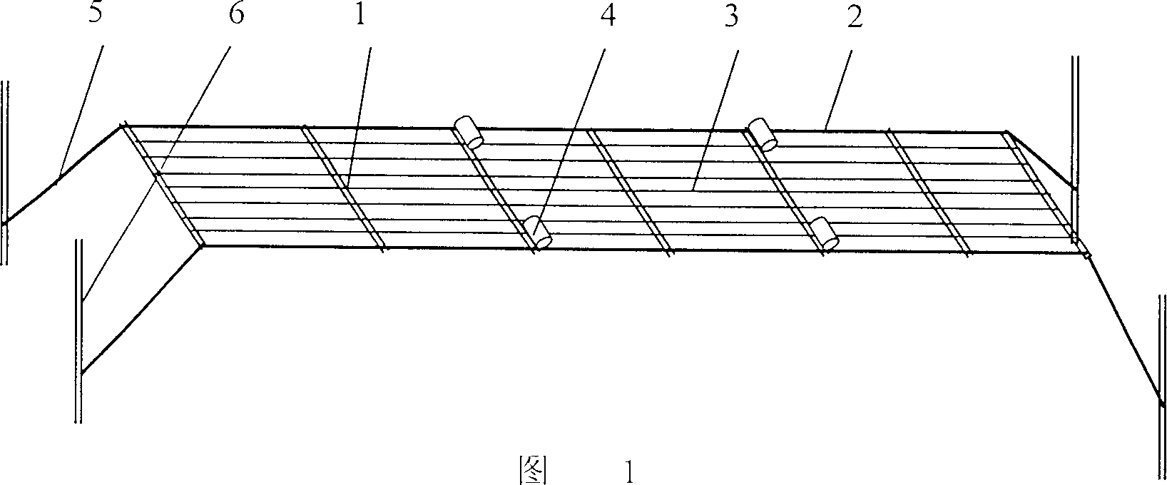 Method for biological repairing eutrophication of subtropical zone sea water fish culture in net cage area