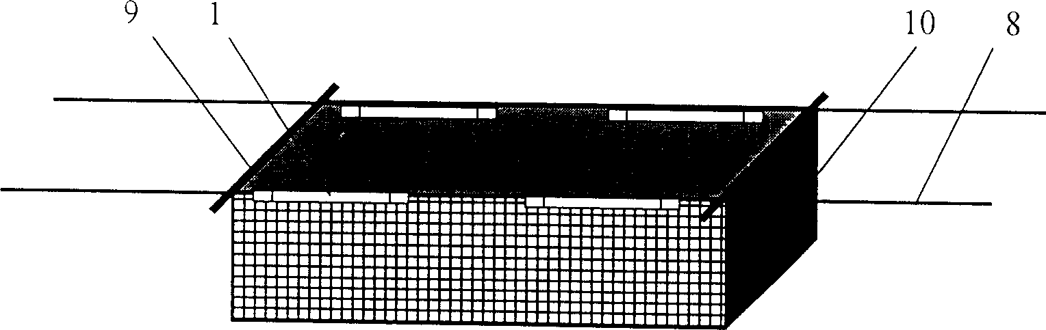 Method for biological repairing eutrophication of subtropical zone sea water fish culture in net cage area