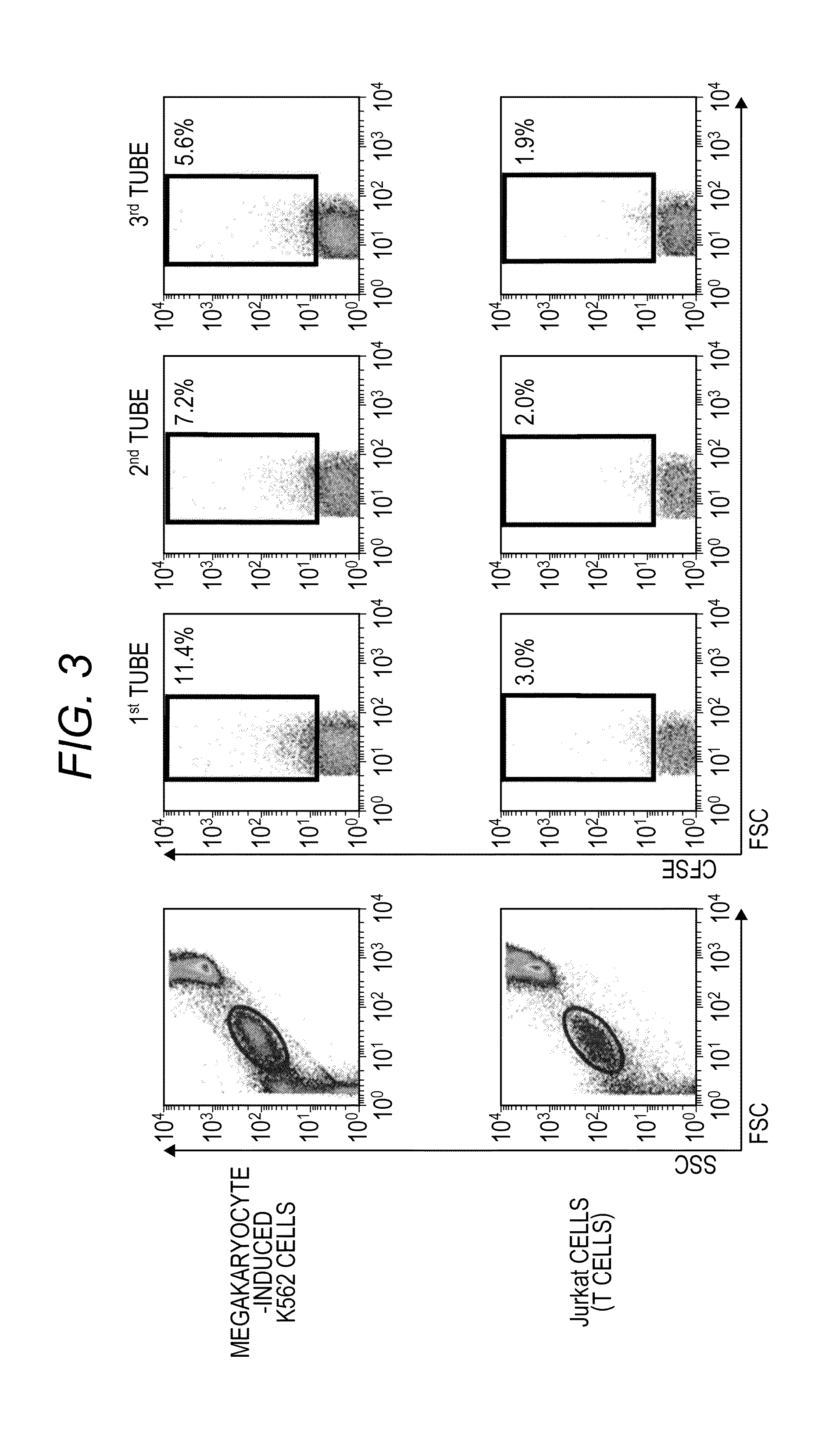 Method for obtaining differentiated cells and /or differentiated cell products from undifferentiated cell and a method of perfusion culture