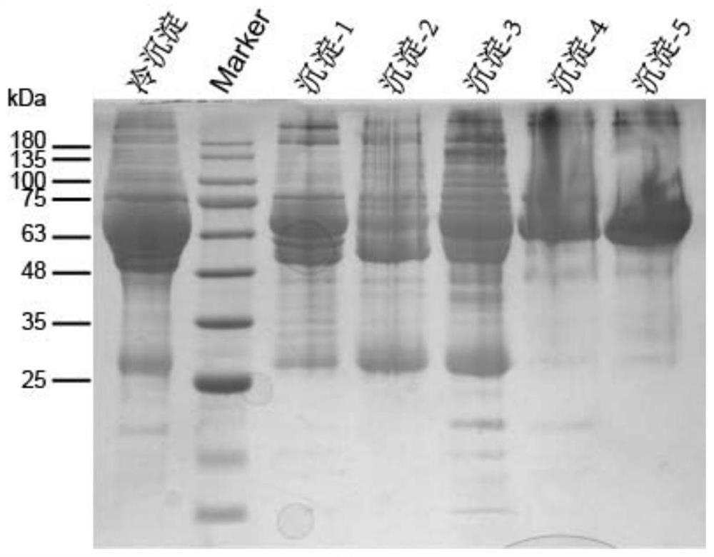 A plasma protein isolate for treating Alzheimer's disease and its preparation method and application