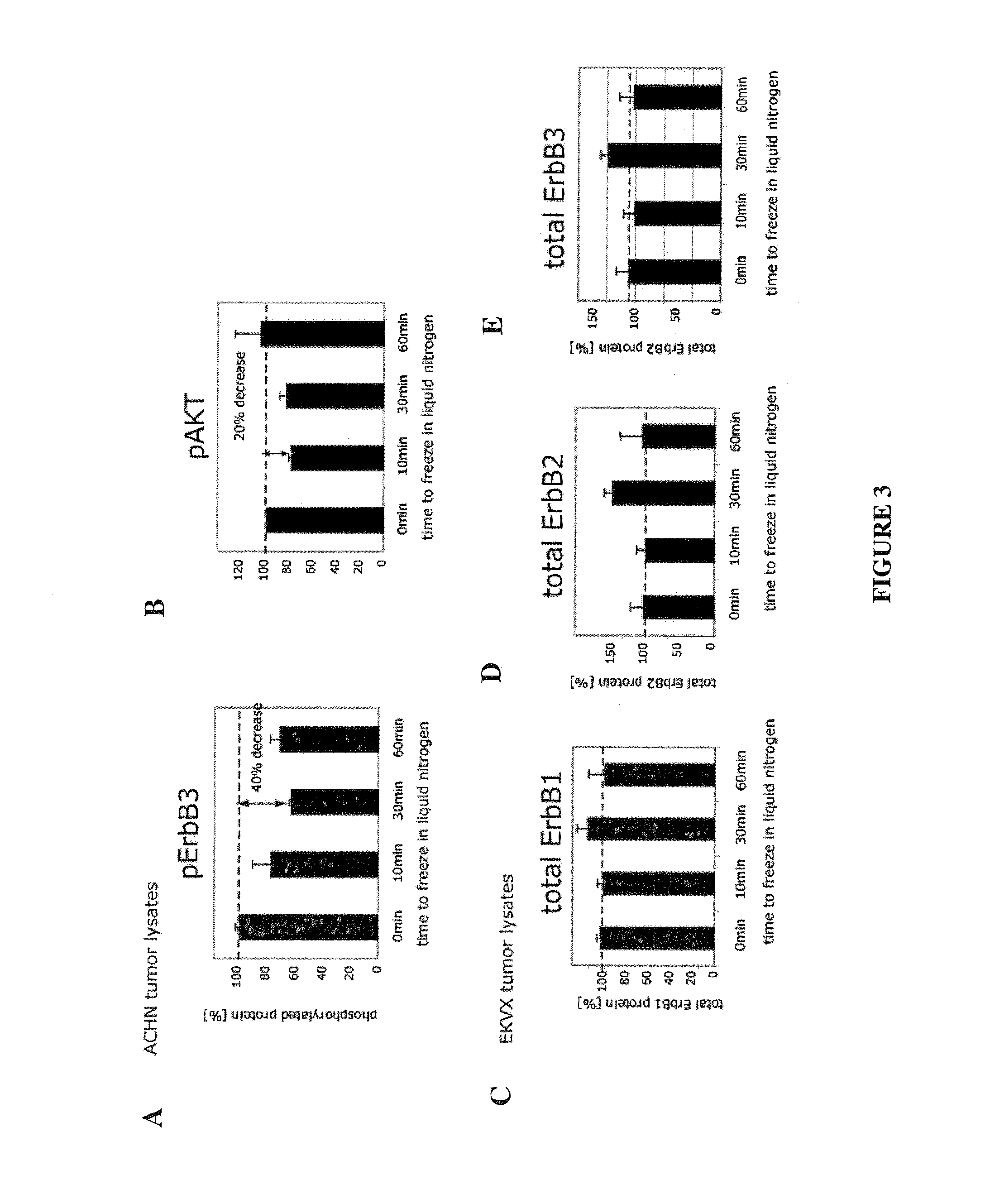 Methods, systems and products for predicting response of tumor cells to a therapeutic agent and treating a patient according to the predicted response