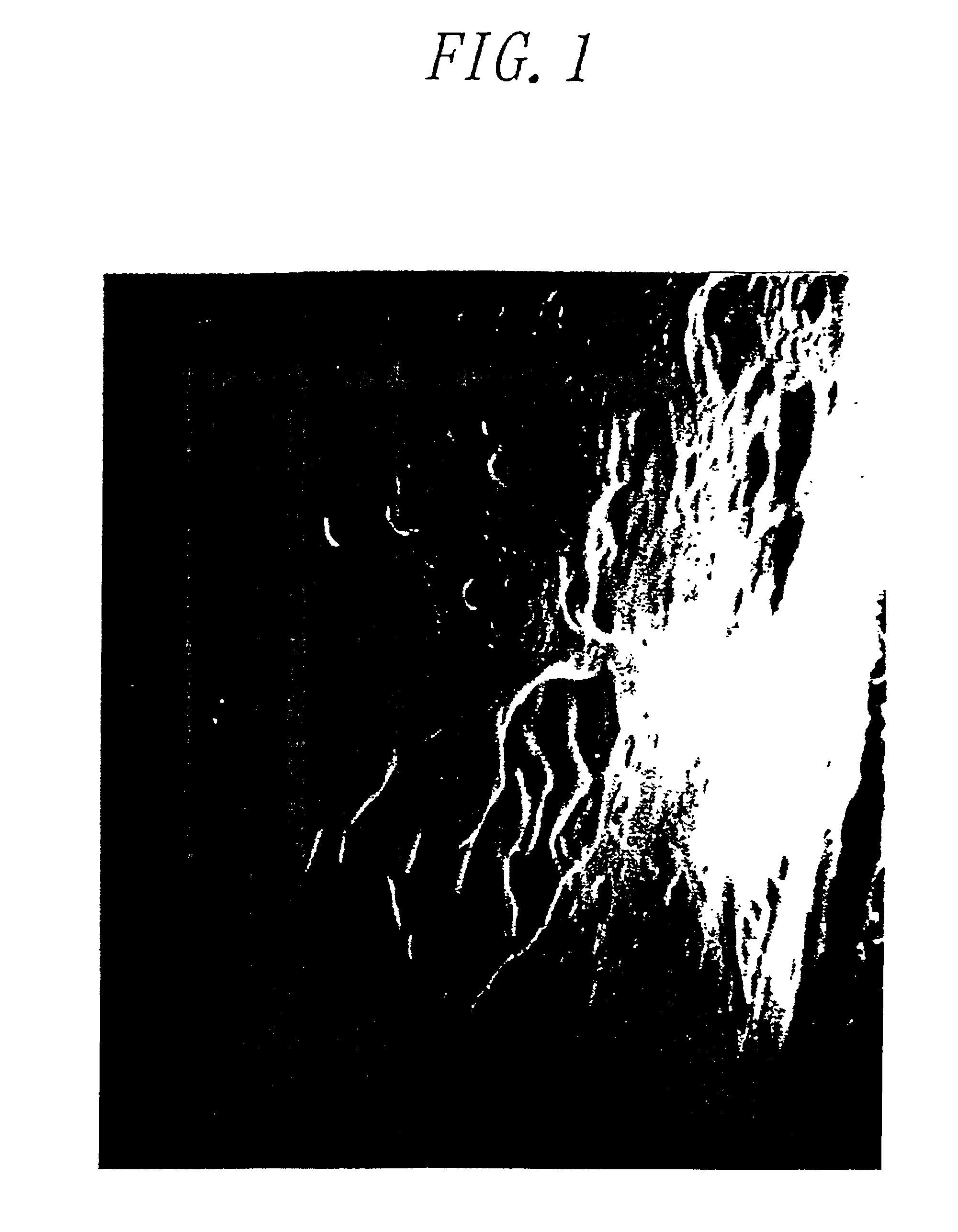 Method for decomposing polyesters containing aromatic moieties, a denier reduction method of fiber, and microorganisms having activity of decomposing the polyester