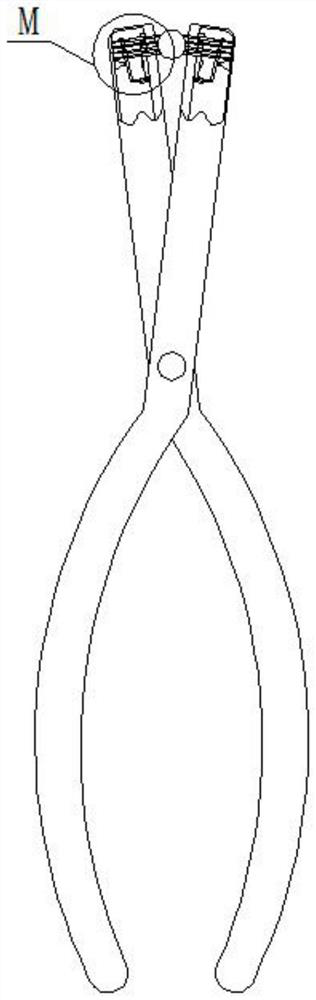 Dental forceps for alveolar surgery and use method thereof