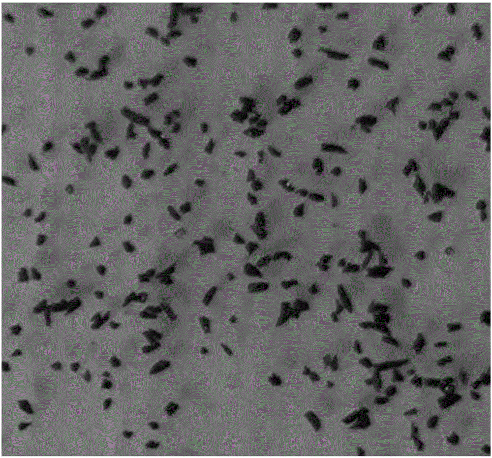 Coal dust image identification method