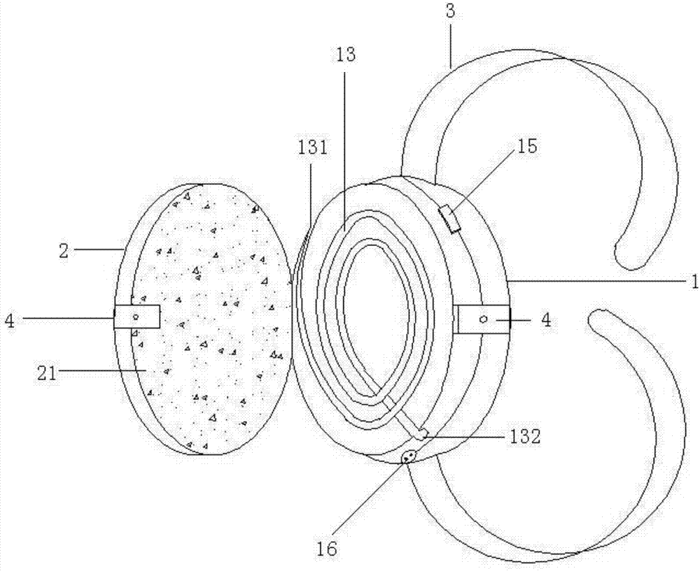 Heating constant-temperature device for infusion tubes for large livestock