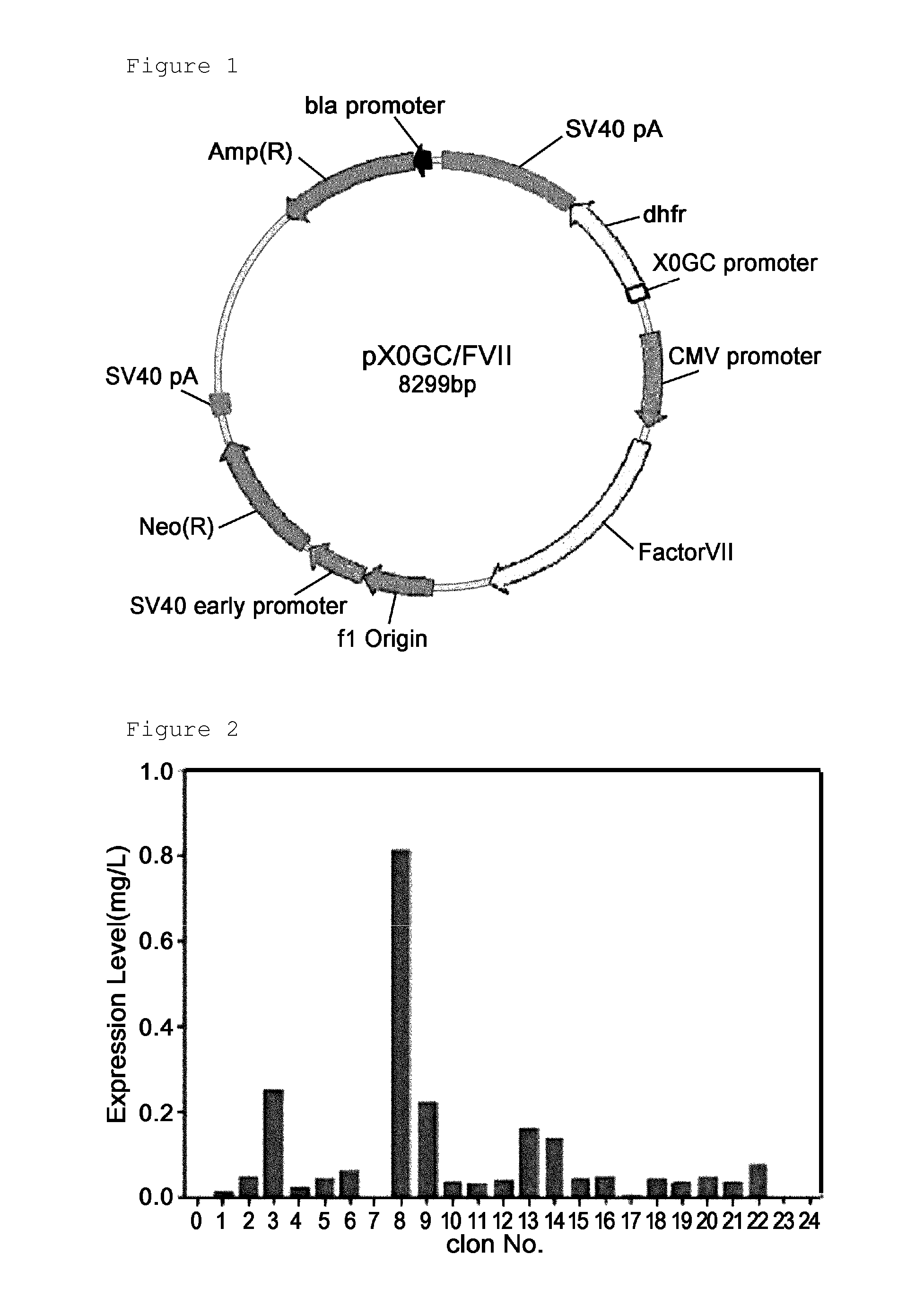 Method for mass production of factor VII/VIIA