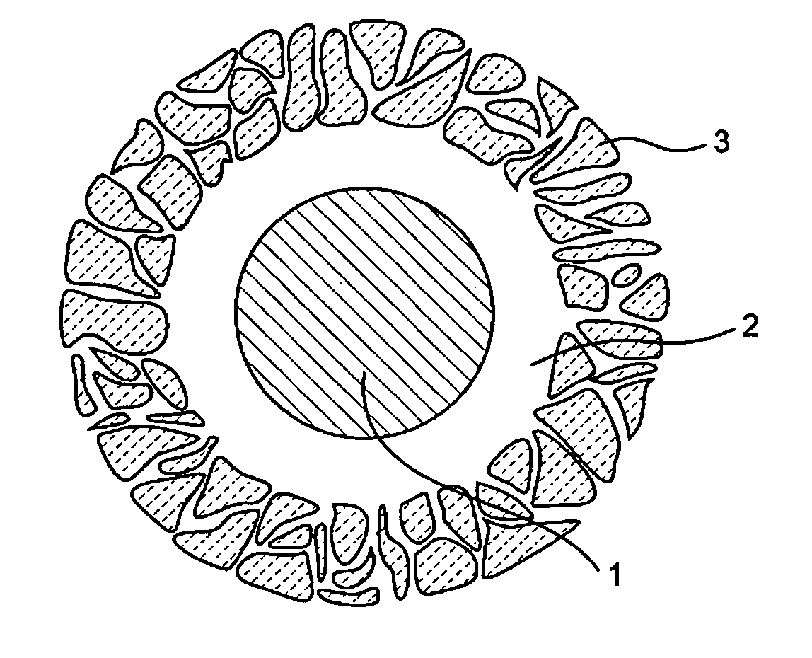 Catalyst Included in Hollow Porous Capsule and Method for Producing the Same