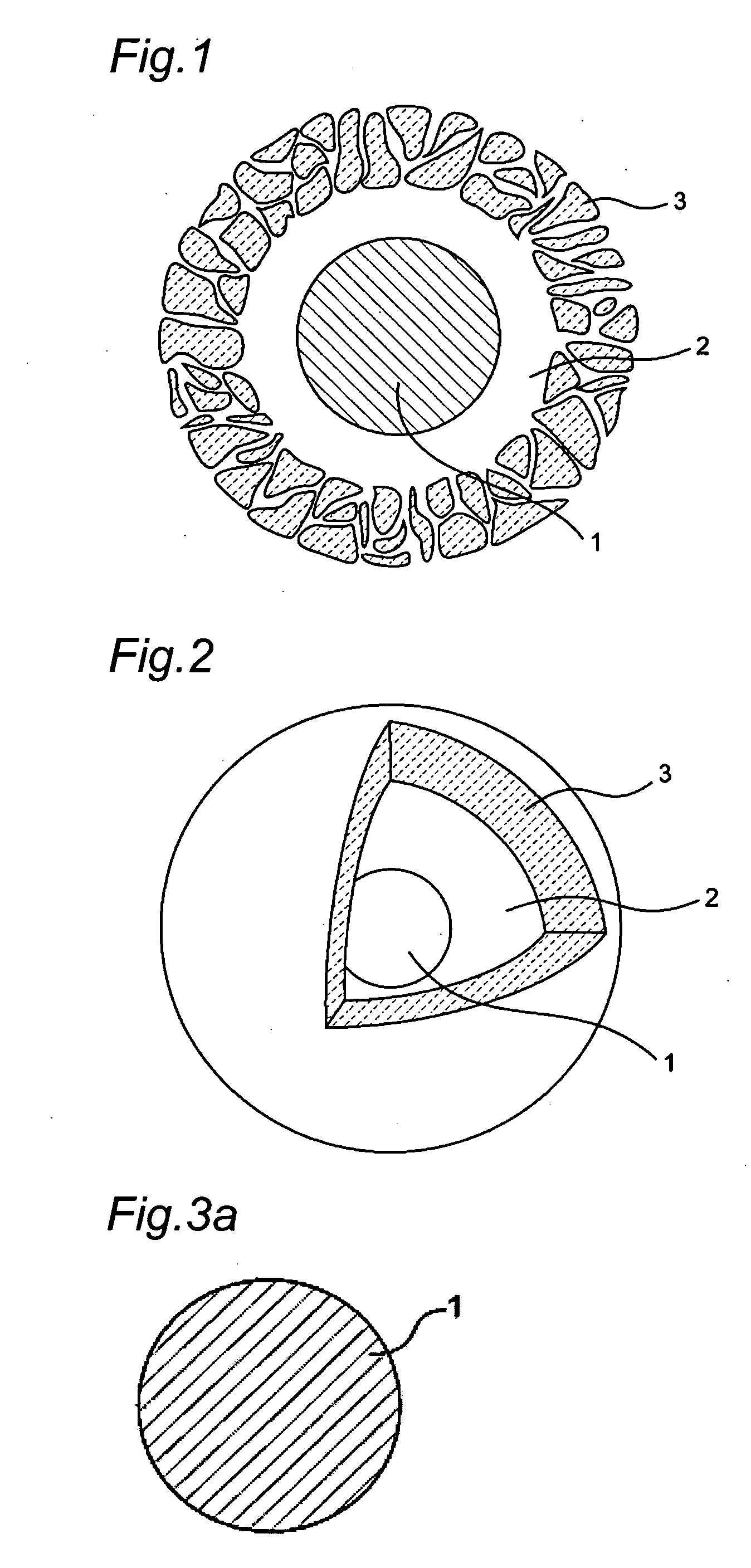 Catalyst Included in Hollow Porous Capsule and Method for Producing the Same