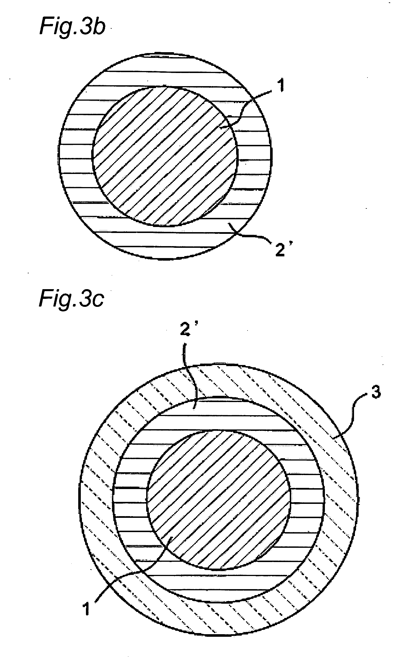 Catalyst Included in Hollow Porous Capsule and Method for Producing the Same