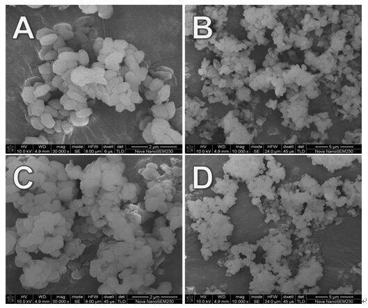 A method for the catalytic synthesis of biodiesel by short mesoporous solid base molecular sieves