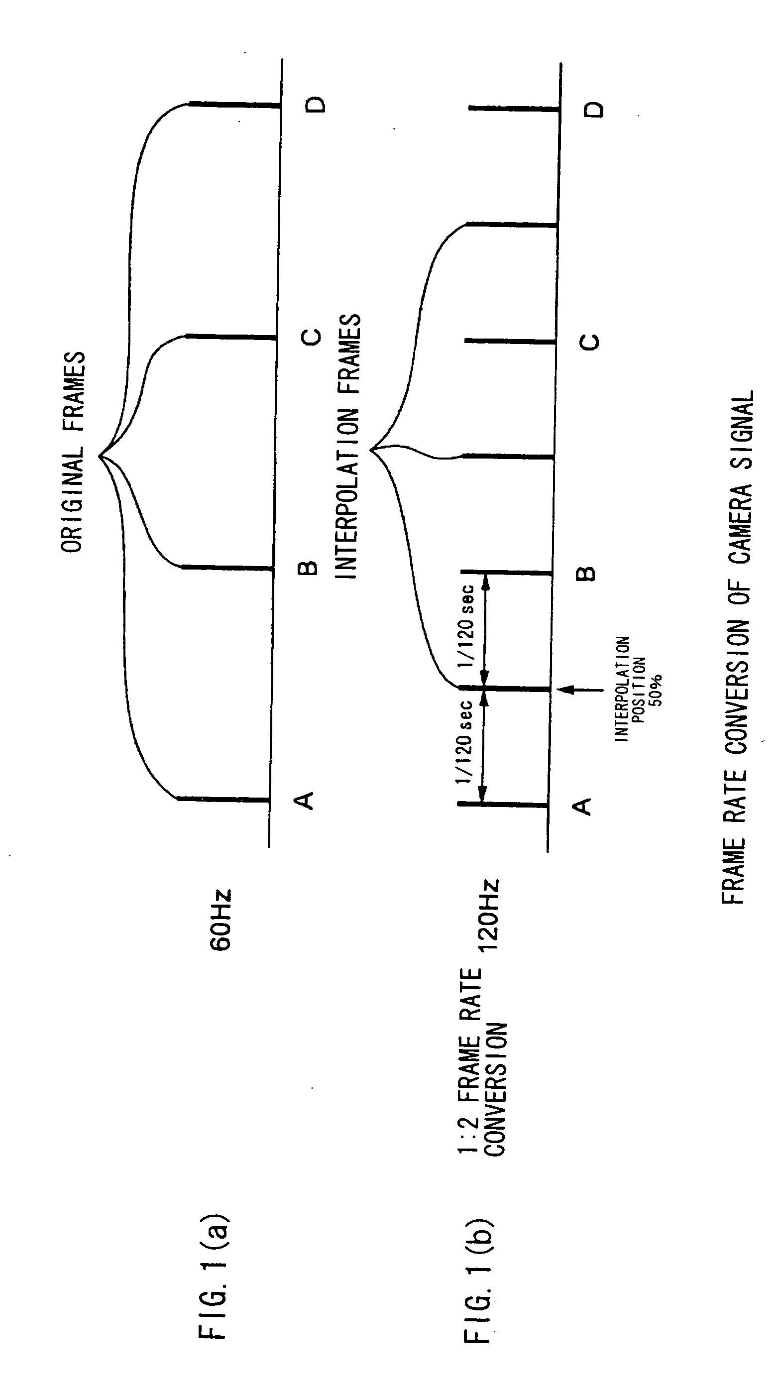 Image Display Apparatus