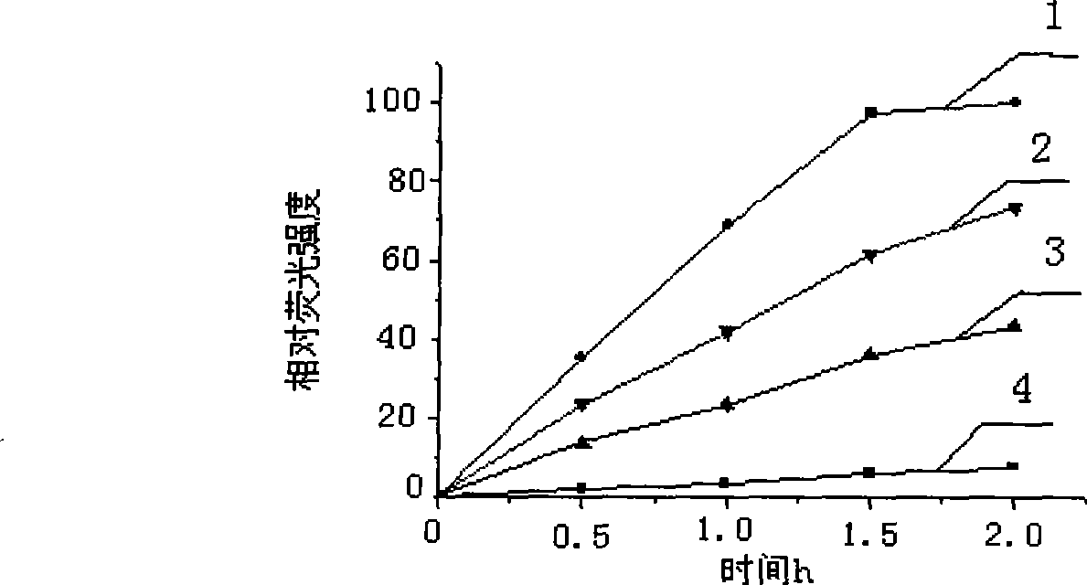 Method for screening catalysis non-aqueous phase system transesterification enzyme by fluorospectrophotometry