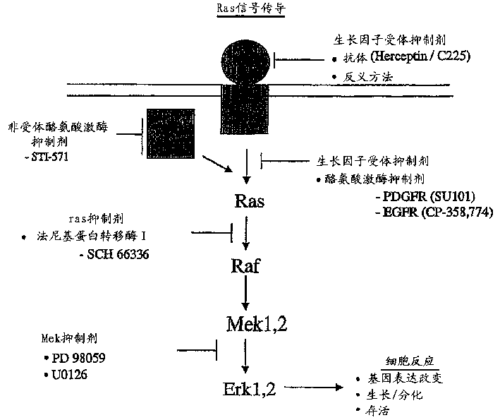 Method of inducing cancer cell death and tumor regression