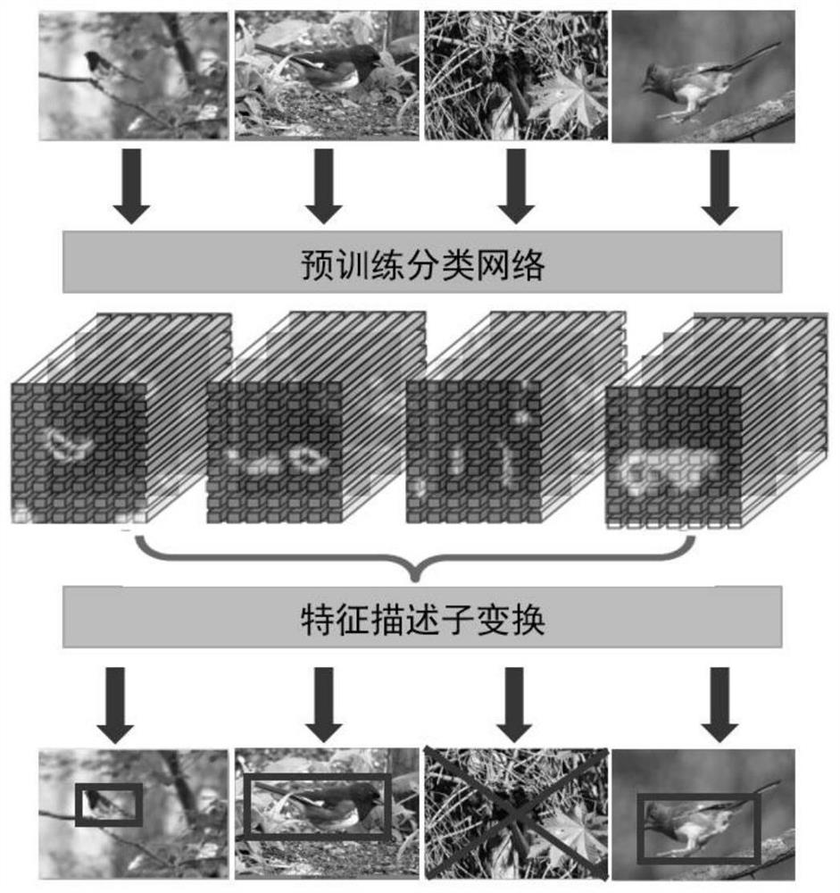 A Weakly Supervised Fine-Grained Image Classification Method Based on Hierarchical Feature Transform