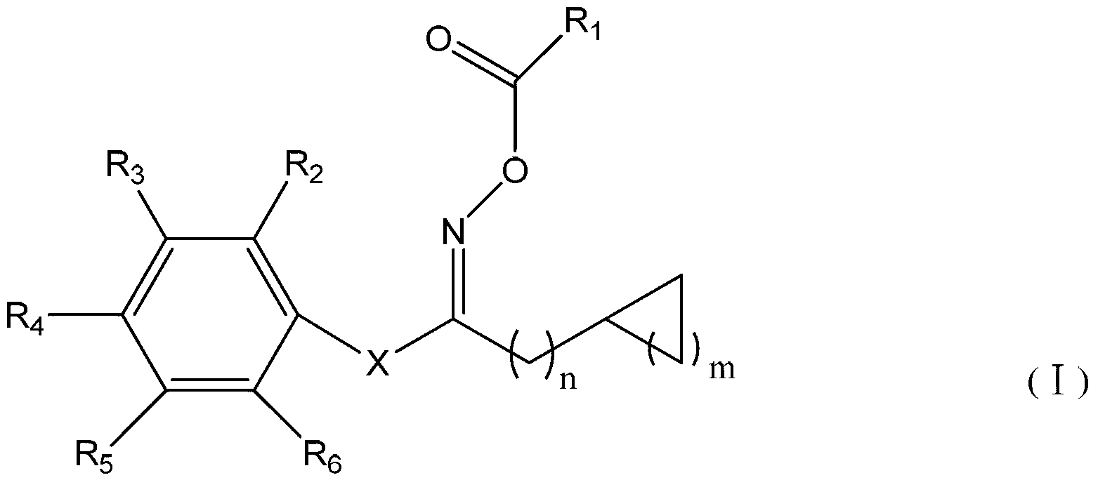 Acrylic ester photocuring composition