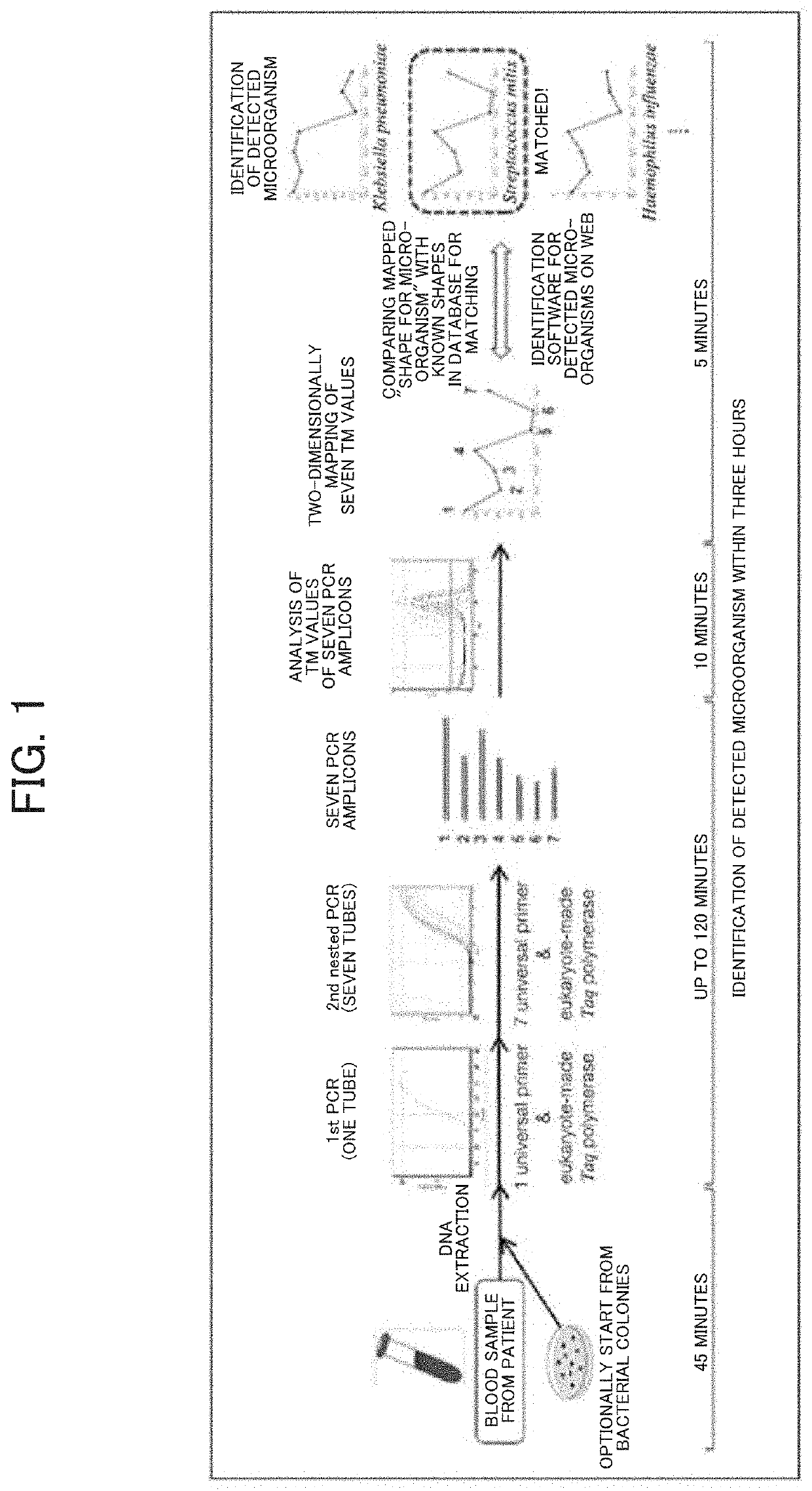 Tm mapping method