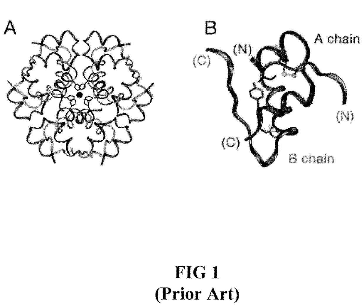 Site 2 single-chain insulin analogues