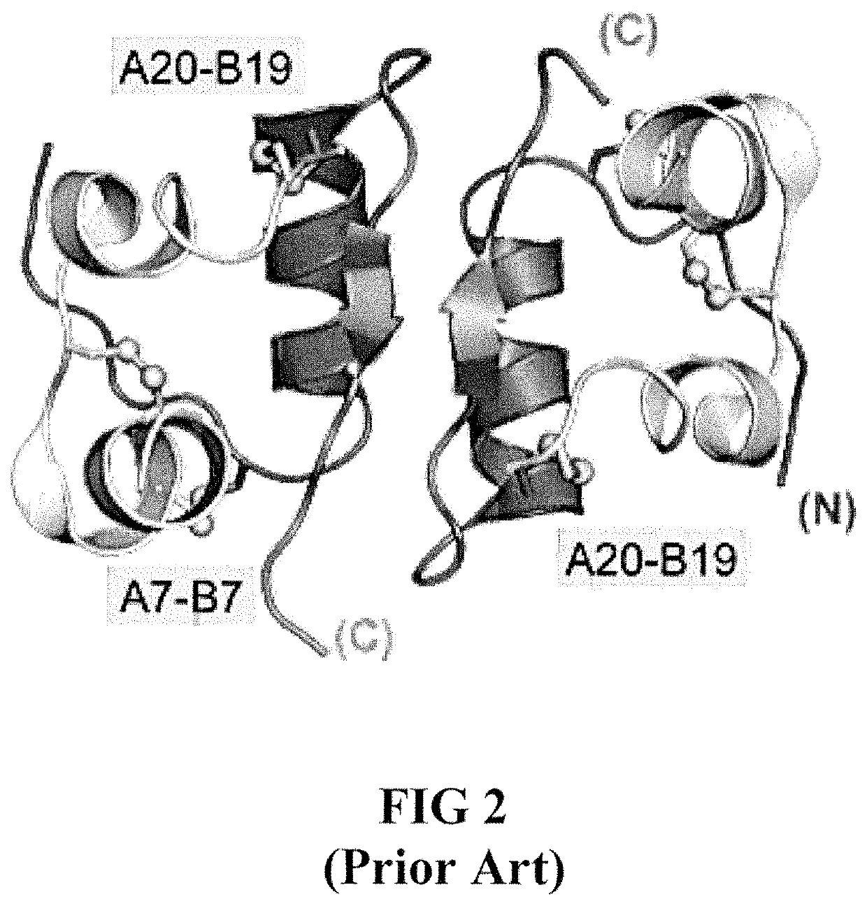 Site 2 single-chain insulin analogues