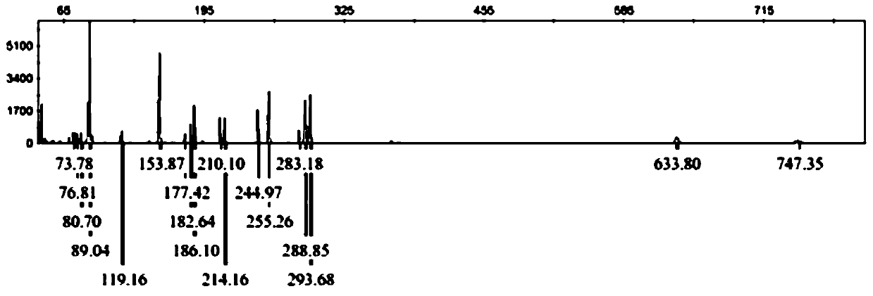 A kind of molecular identification method of purple flower kidney tea