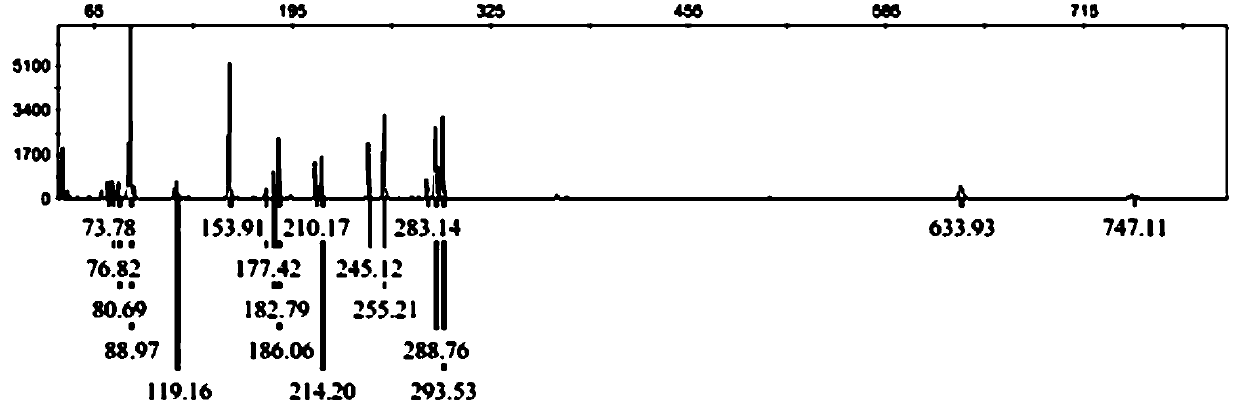 A kind of molecular identification method of purple flower kidney tea