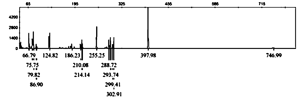 A kind of molecular identification method of purple flower kidney tea