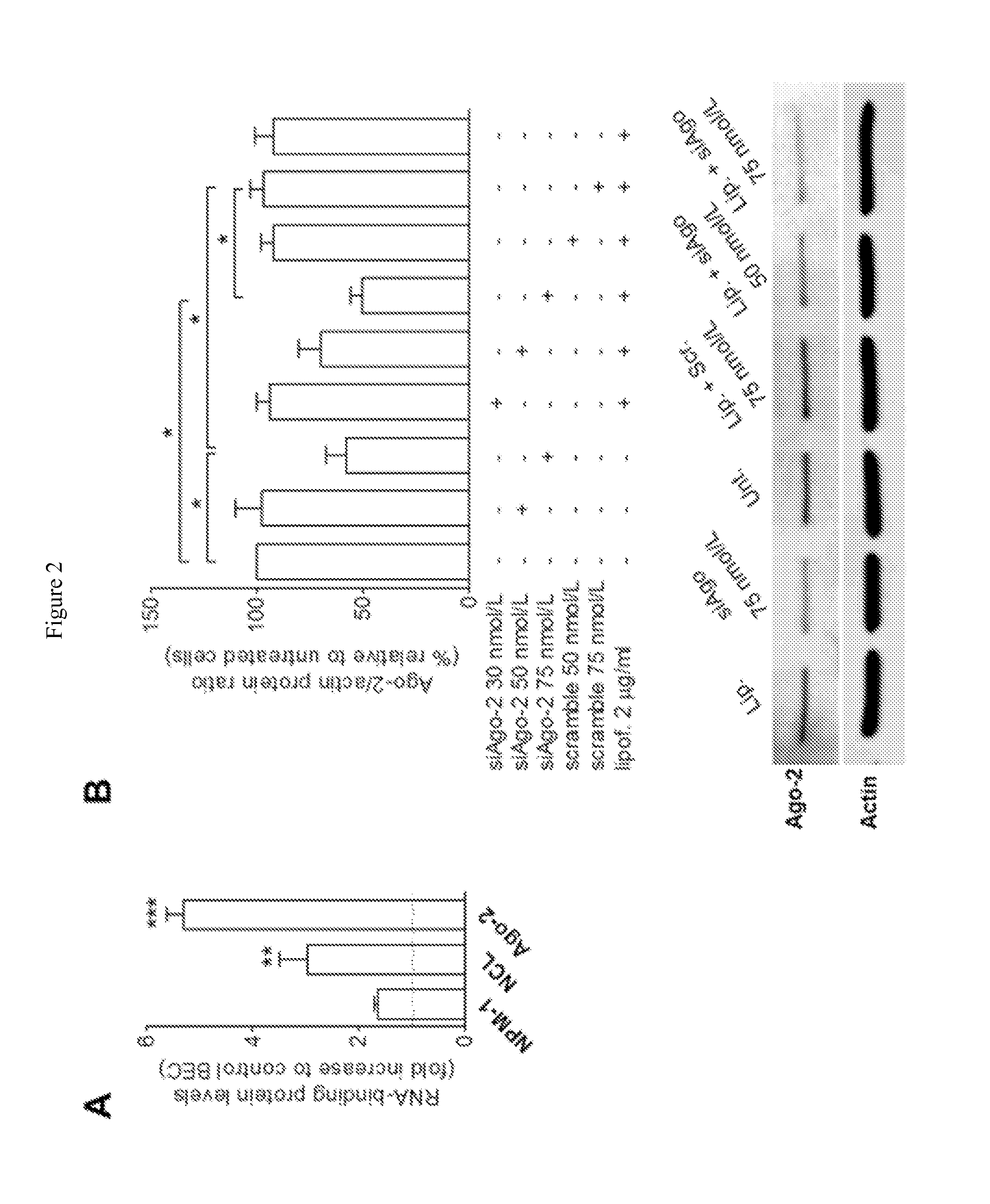 Compositions and methods for delivering microrna