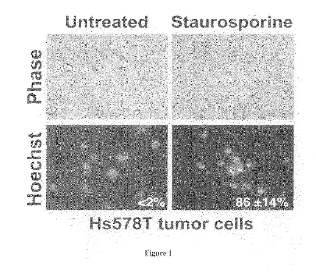 Method of determining susceptibility of a tumor cell to a chemotherapeutic agent:  novel use of herpes
