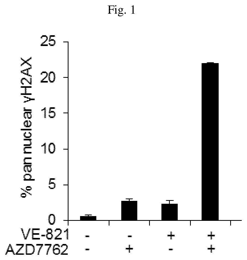 Method for treating cancer using a combination of Chk1 and ATR inhibitors